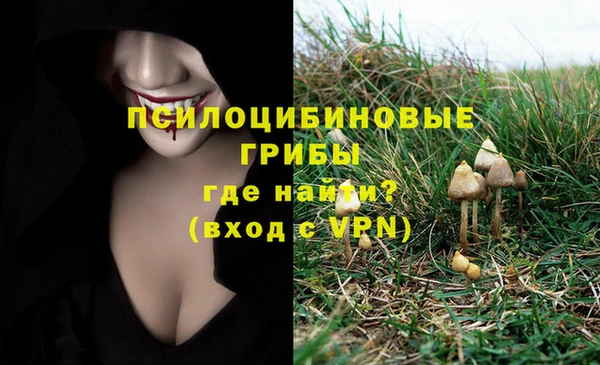 бутират Пересвет