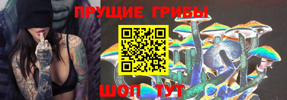 Псилоцибиновые грибы GOLDEN TEACHER  Вход с VPN  продажа наркотиков  Воронеж 